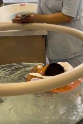 -弗蕾亚·和月月子调理院(东湖店)