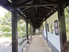 -黑龙江省森林植物园