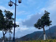 -树山生态村