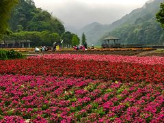 -广州市石门国家森林公园