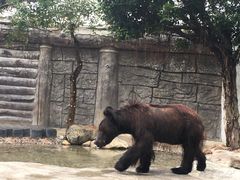 -灵玲国际马戏城