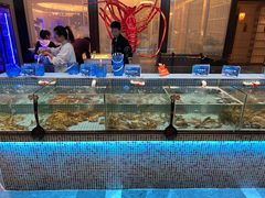 -小天鹅戴斯酒店鲸鲨百汇创作料理