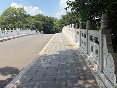 -海珠湖公园