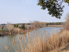 -南湖湿地公园