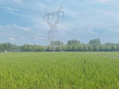 -嘉北郊野公园