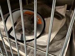 -萌兽医馆·犬猫专科·眼科中心·宠物医院(朝阳门分院)