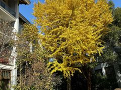 -天目湖御水温泉·度假酒店