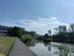 -溱湖国家湿地公园