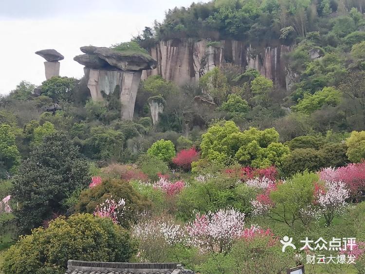 绍兴吼山风景区桃花节图片