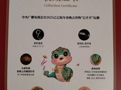 -中央广播电视总台(光华路办公区)