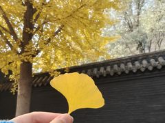 -长安寺