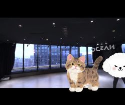 -OCEAN DANCE高空舞蹈室