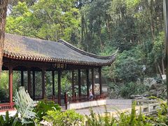 -忠山公园