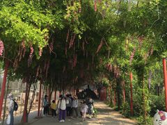 -河北村民俗体验园