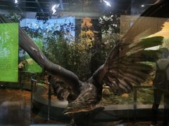 -陕西自然博物馆