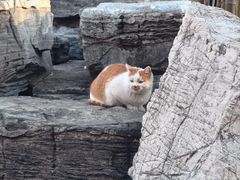 -北宫国家森林公园