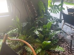 -J Create城市露营咖啡·简餐·宠物(上海动物园店)