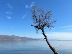 -大理洱海
