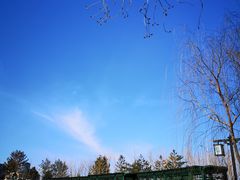 -西海子公园