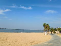 -瑶湖郊野森林公园