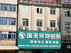 -东莞宠友24H宠物中心医院·转诊夜诊·异宠(新河北路院)
