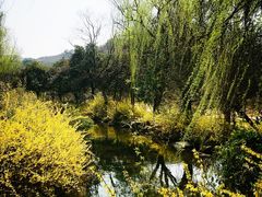 -白马涧龙池景区