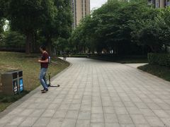 -南翔镇银翔湖公园