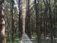 -同里国家湿地公园