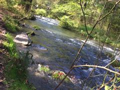 -Bleston Court Yukawatan