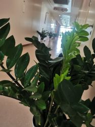 点击看大图 -杭州海亮医院 · 禾芸嘉医美中心