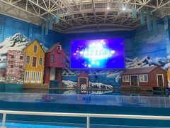 -西安曲江海洋极地公园