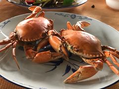 奄仔蟹-沙田台山海鲜·酣客酒窖