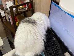 -恒幸动物医院·急重症转诊中心·神经内外科·CT核磁