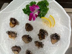 虾拼鲍鱼仔-纯味斑鱼府(中海环宇荟店)