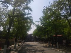 -八大关景区