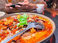 水煮毛血旺-蜀都丰 川菜·水煮活鱼(万象九宜城店)