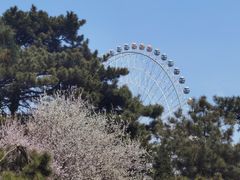 -长春市南湖公园