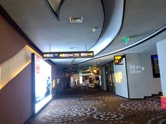 -万达影城(汉街万达广场IMAX店)