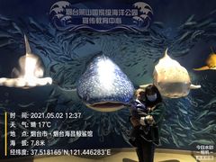 -烟台海昌鲸鲨海洋公园