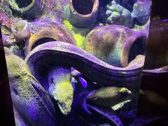 -太平洋海底世界