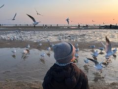 -老虎石海上公园