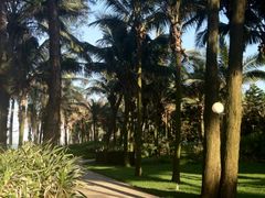 iphone_upload_pic-海口喜来登酒店