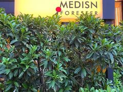 -MEDISN·药厂
