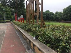 -重庆彩云湖湿地公园