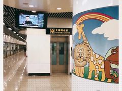 -上海动物园(地铁站)