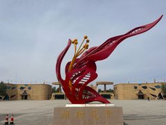 -金塔沙漠胡杨林景区