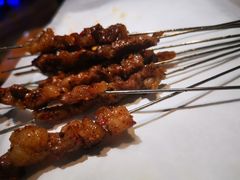 -鼎原力量东北吊炉烧烤(临河街店)