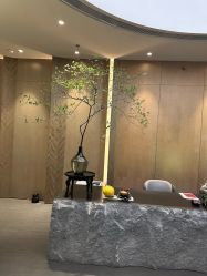 -VELEE·SPA高定疗愈会所