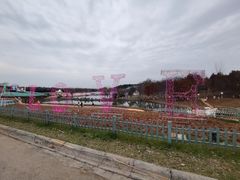 -大塘金香草谷