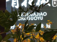 -青花椒花椒鱼(合生汇店)